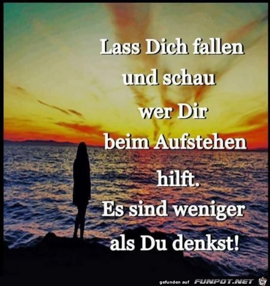 lass dich fallen und schau..........