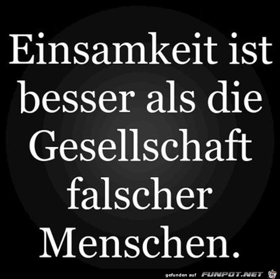 Einsamkeit ist besser als.......