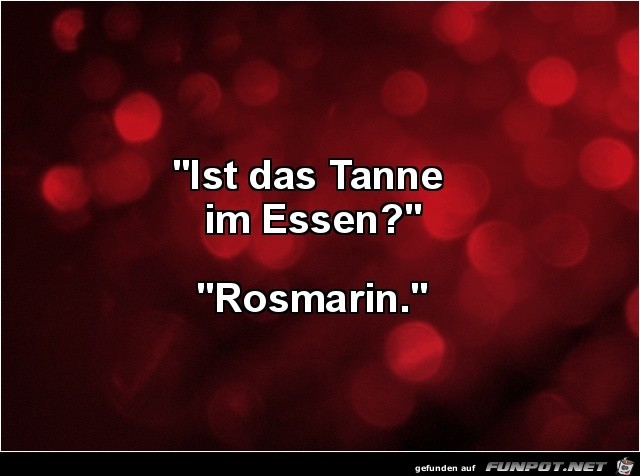 Tanne im Essen Tanne im Essen