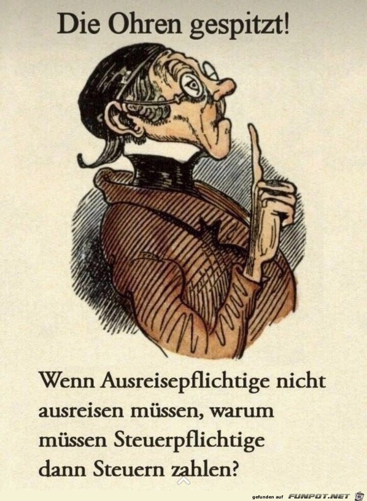 Die Ohren gespitzt