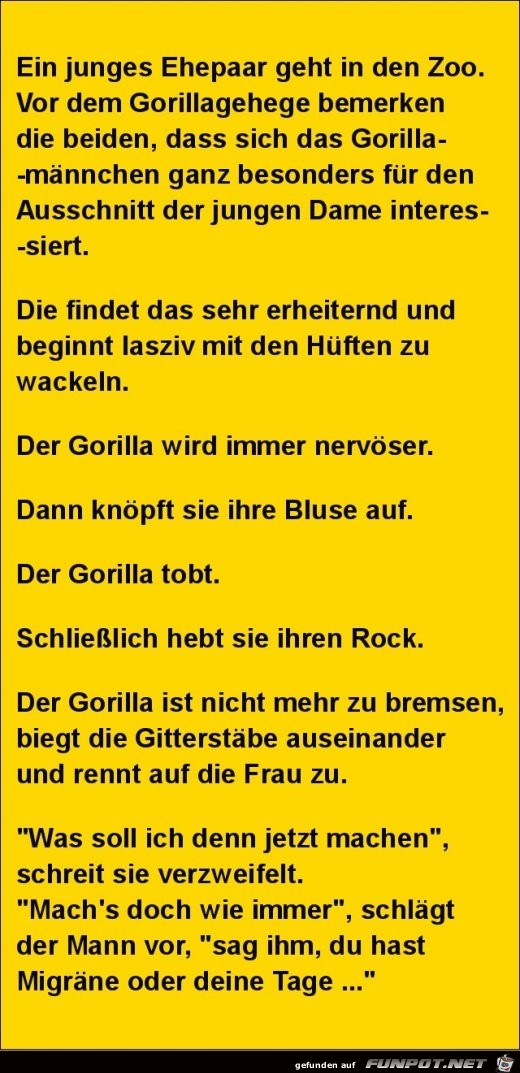 ein junges Ehepaar geht in den Zoo....