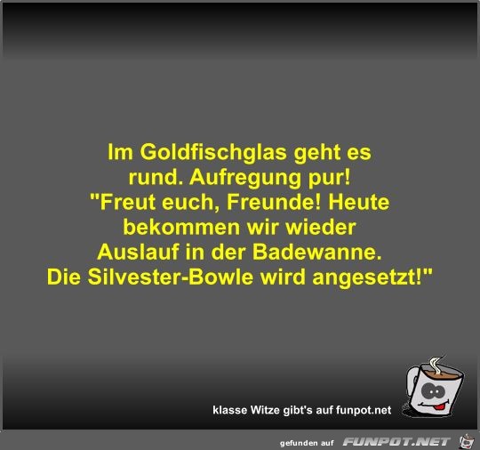 Im Goldfischglas geht es rund Im Goldfischglas geht es rund
