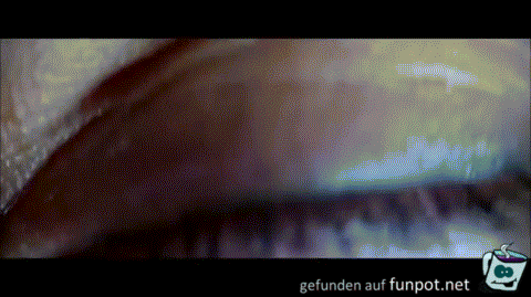 Diese Iris Diese Iris