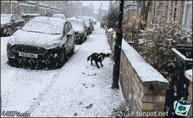 Schneefreuden Schneefreuden