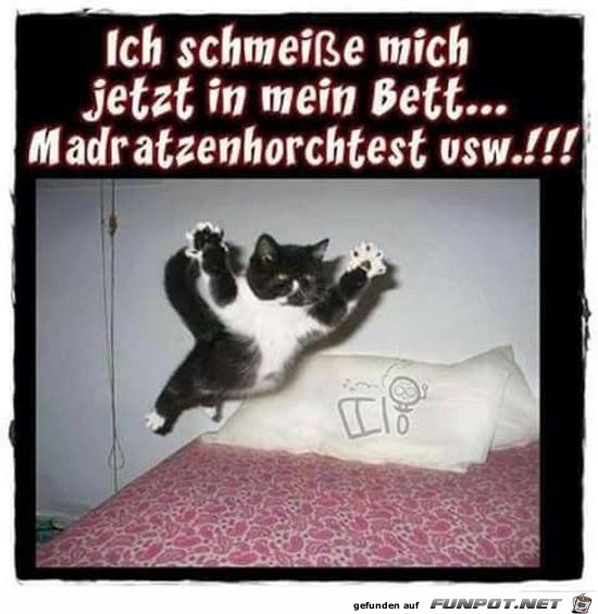 Matratzenhorchtest Matratzenhorchtest