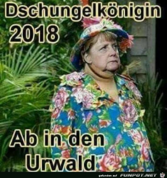 Dschungelkönigin Dschungelkönigin