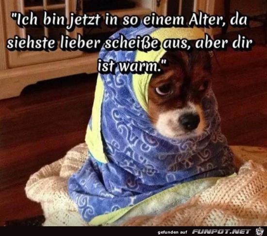 ich bin jetzt in so einem Alter.........