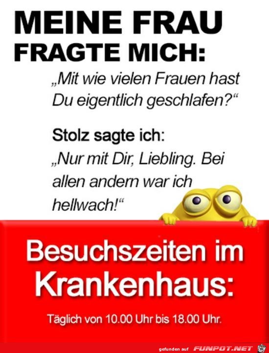 Meine Frau fragte mich:.........