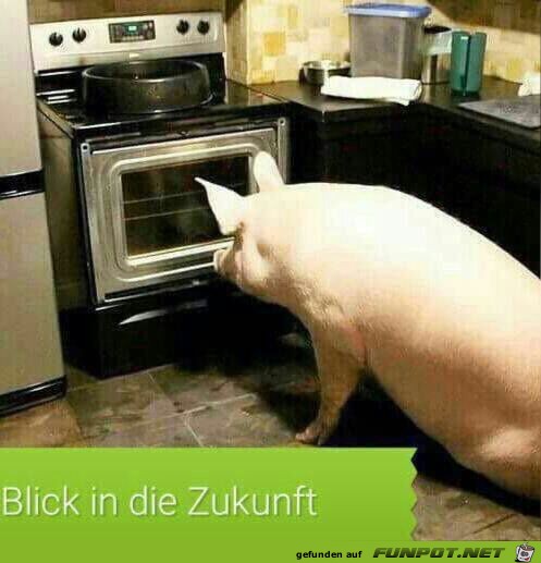 Blick in die Zukunft Blick in die Zukunft