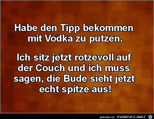 Mit Vodka putzen