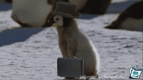 Pingu hat's eilig Pingu hat's eilig
