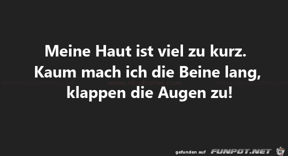 Meine Haut ist viel zu kurz Meine Haut ist viel zu kurz
