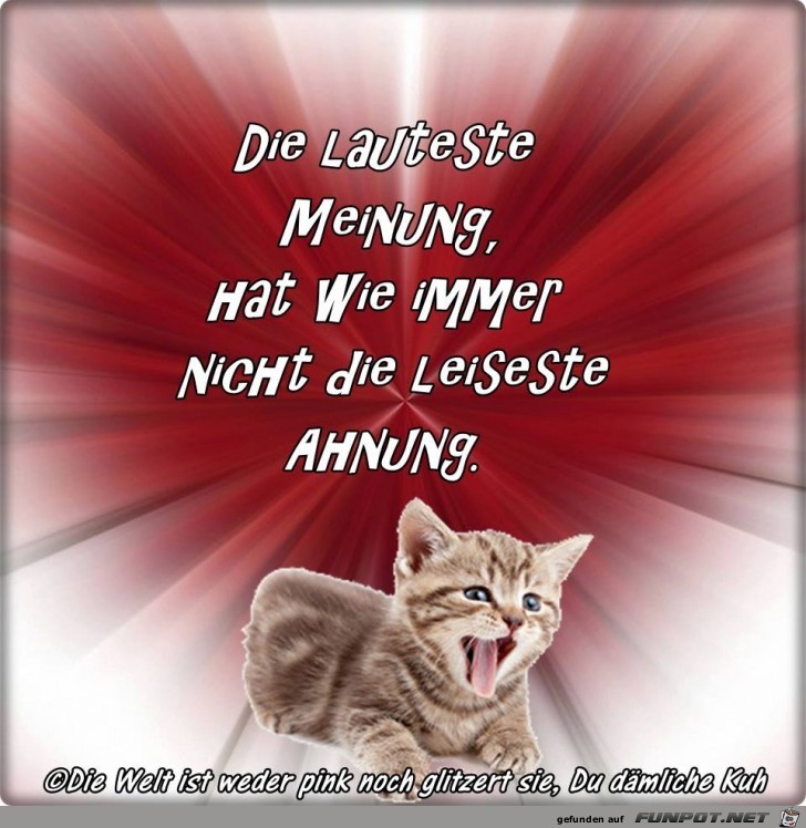 Die lauteste Meinung Die lauteste Meinung