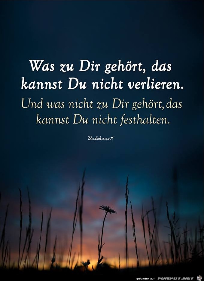 Was zu dir gehoert Was zu dir gehoert