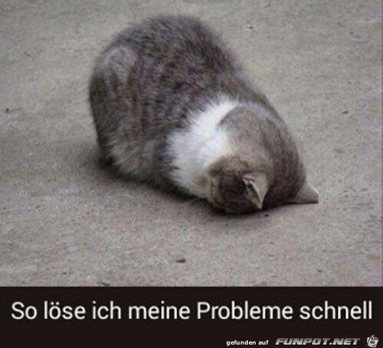 Super Problemlösungs-Strategie Super Problemlösungs-Strategie