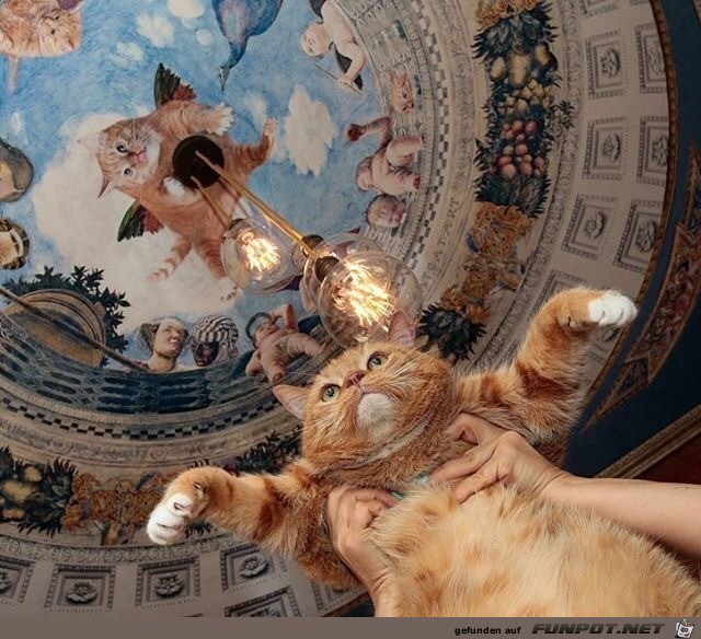 Kat(z)hedrale Kat(z)hedrale