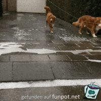 Rutschig Rutschig