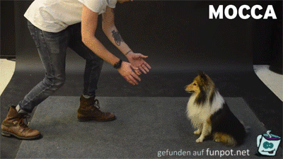 Was ist das denn Was ist das denn