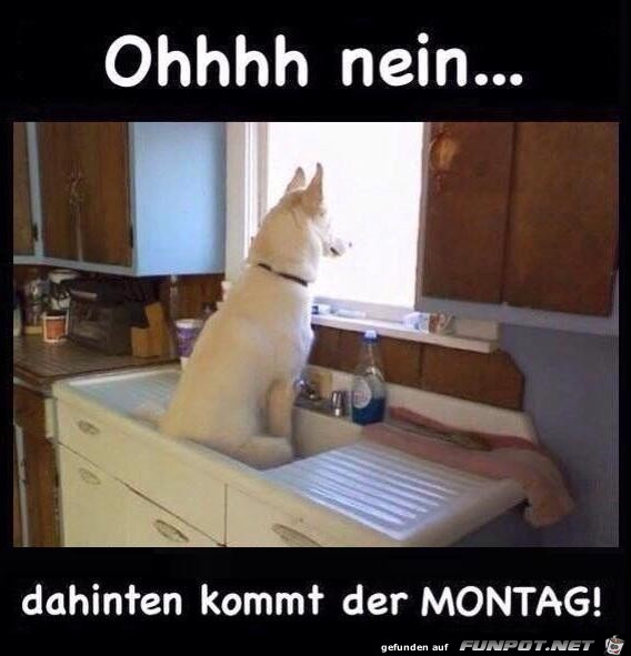 Der Montag