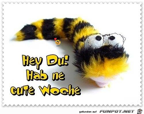 Hey Du Hey Du