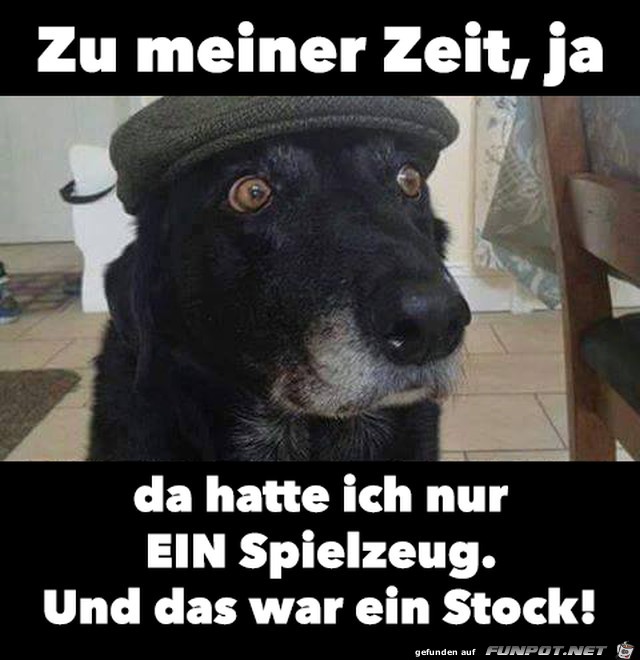 Zu meiner Zeit Zu meiner Zeit
