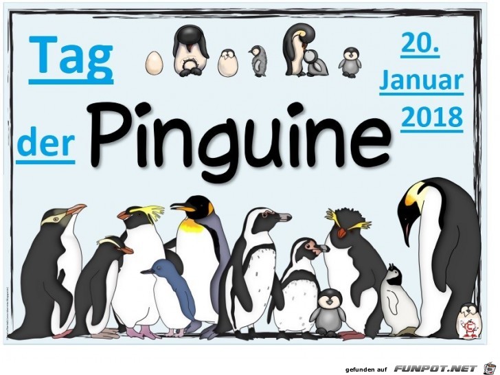Pinguine - Jahrestag 2018