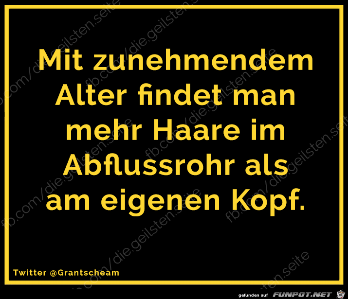 Haare Haare