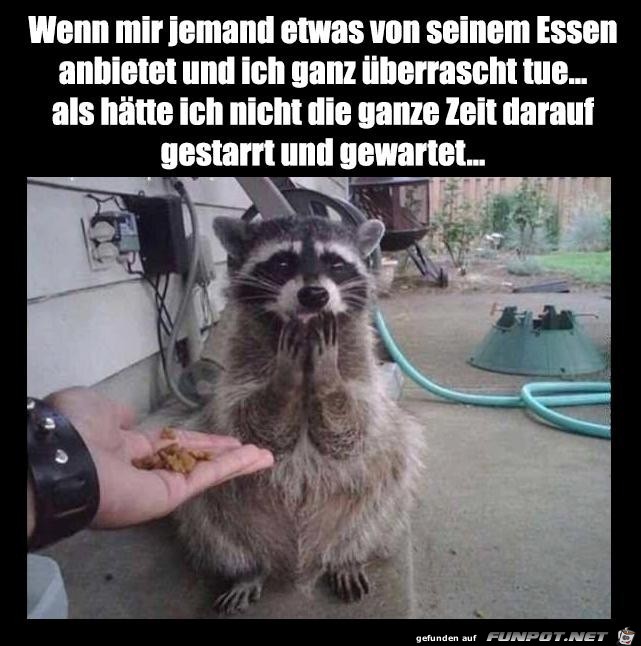 Welche Überraschung Welche Überraschung