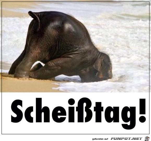Schei sstag Schei sstag