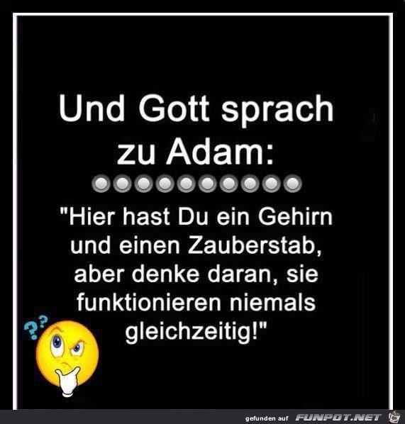 und Gott sprach zu Adam:.......... und Gott sprach zu Adam:..........