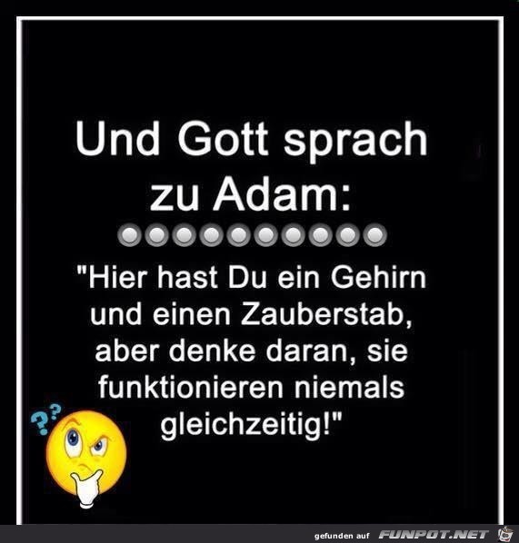 und Gott sprach zu Adam:..........