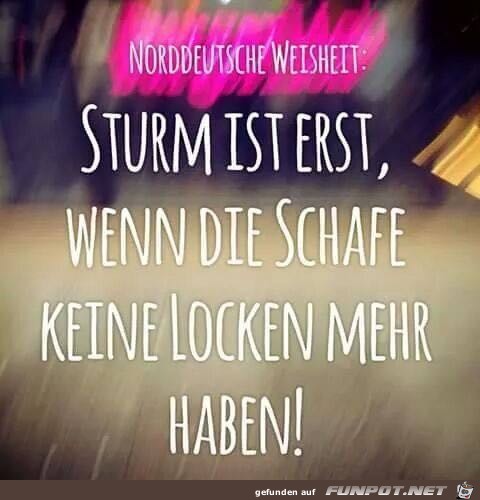 Sturm