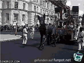 fast echt fast echt