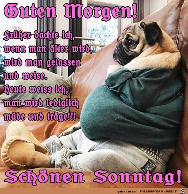 Sonntag Sonntag