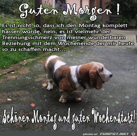 Montag Montag