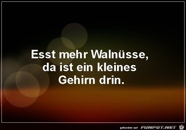 Walnuesse Walnuesse