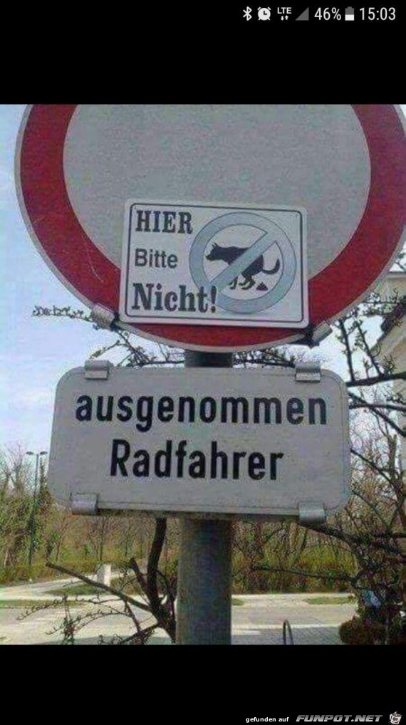 Hier nicht