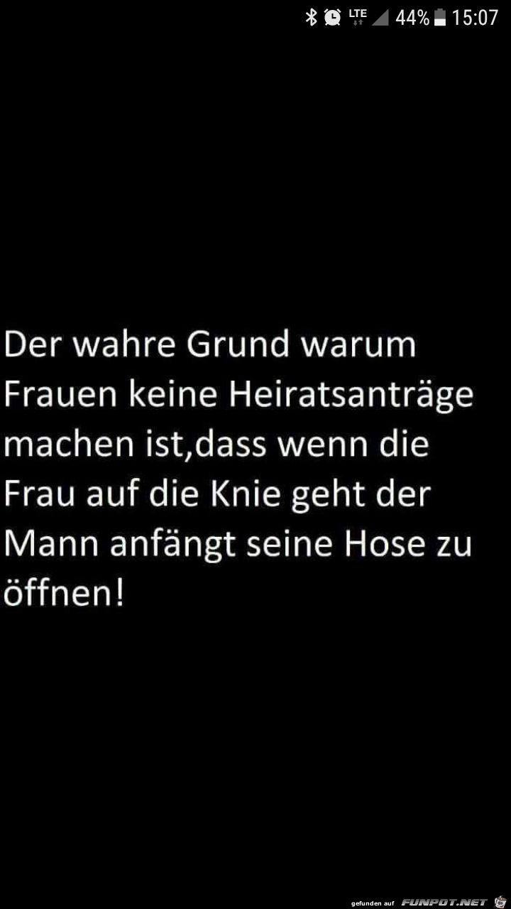 Der wahre Grund