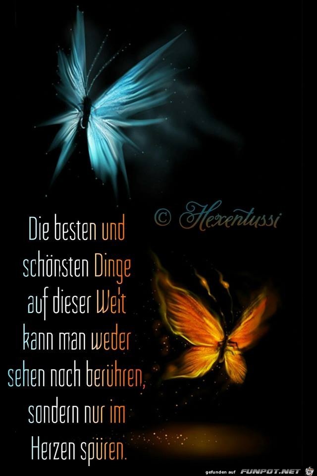 Beste und schoensten Dinge