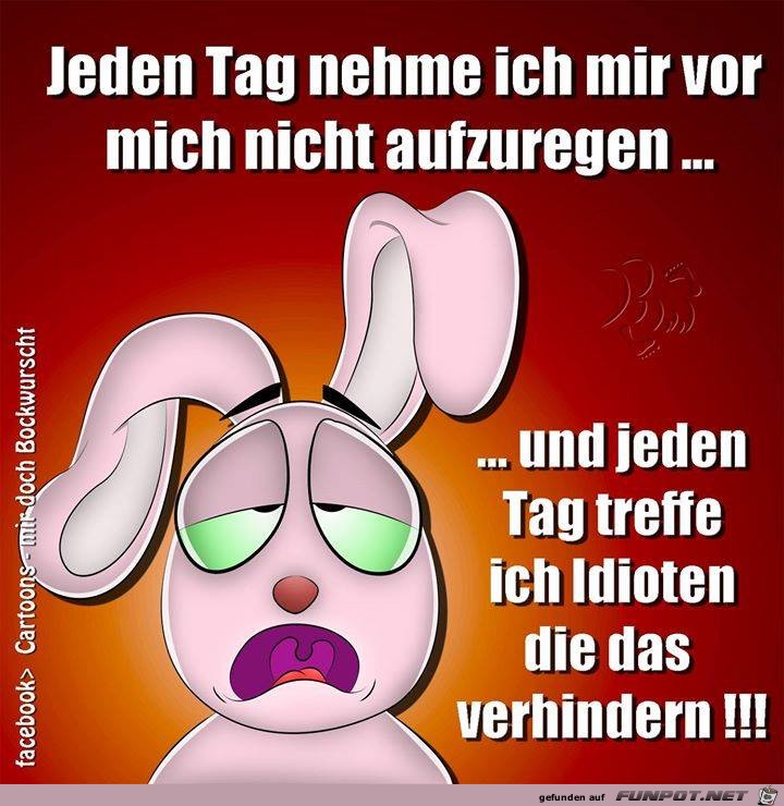 Jeden Tag Jeden Tag