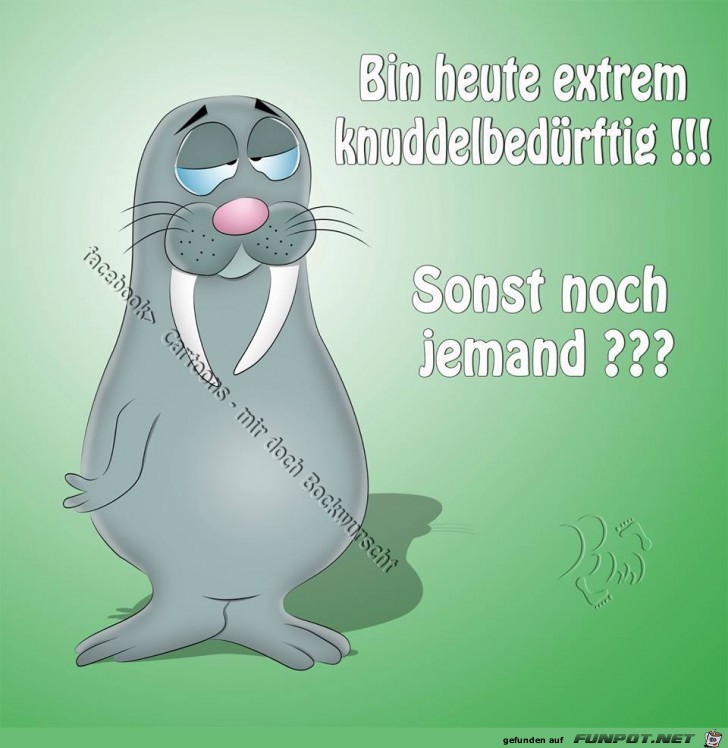 Knuddelbedürftig Knuddelbedürftig