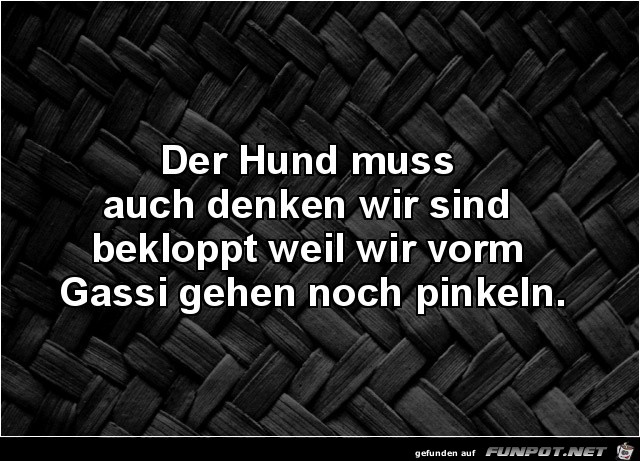 Der Hund Der Hund