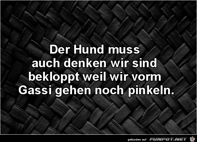 Der Hund