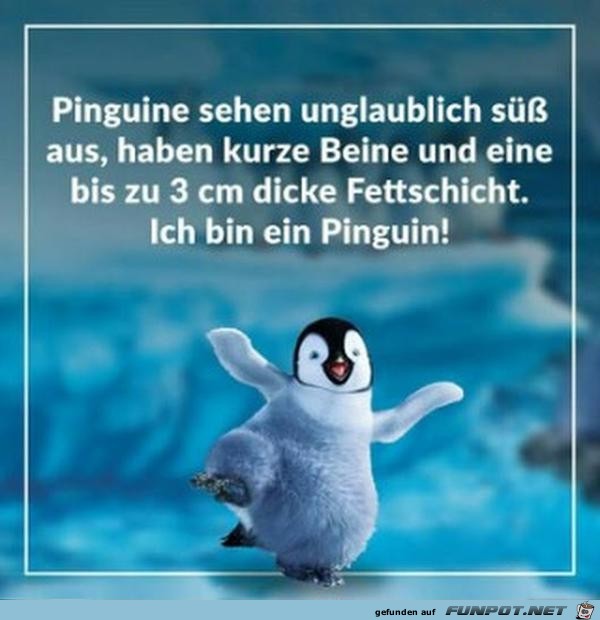 Pinguine