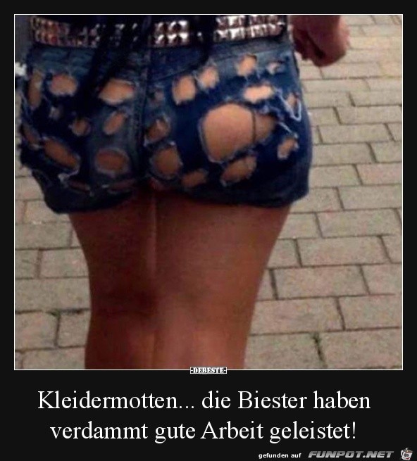 Böse Motten Böse Motten