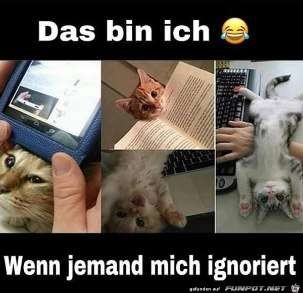 Ziemlich aufdringlich Ziemlich aufdringlich