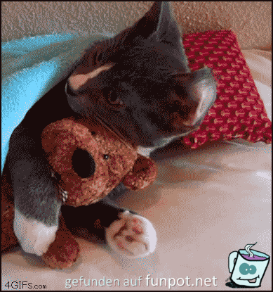 Kuscheln ist schön Kuscheln ist schön