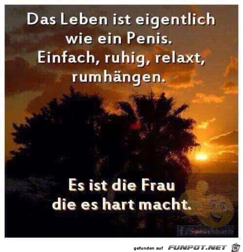 So ist das Leben