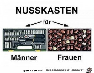 Nusskasten Nusskasten