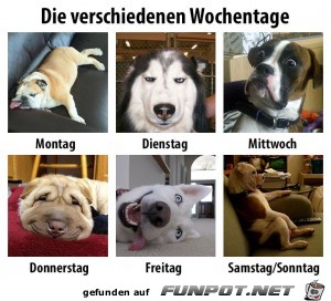 Wochentage Wochentage